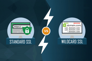 Wildcard SSL Vs Standard SSL: What’s The Difference?